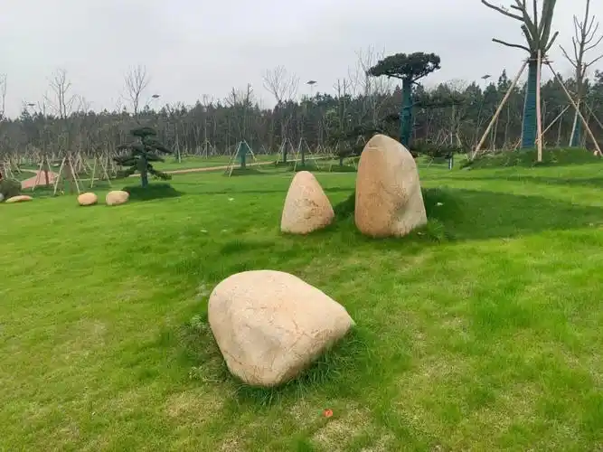 鹅卵石草坪点缀效果