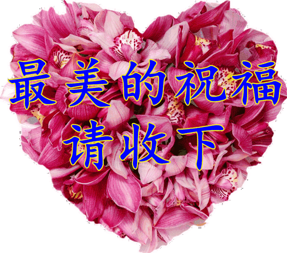 640_564gif 动态图 动图