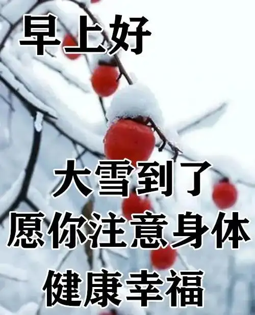 大雪早上好问候语图片动态大全
