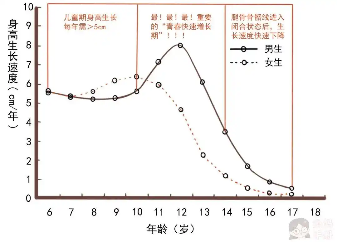 生活中,很多家长都比较重视孩子青春期的身高发育,而忽视其他年龄阶段