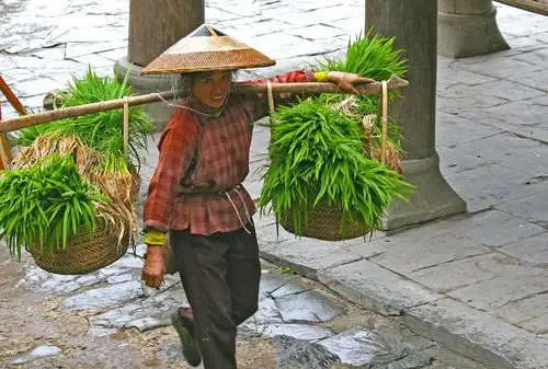 插秧的时节,女人们的担子也不轻.