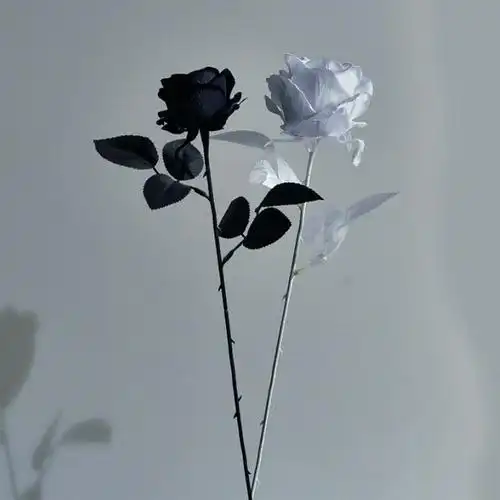 白暗黑风假花jk系黑玫瑰黑色拍照橱窗黑色装饰品拍照玫瑰花