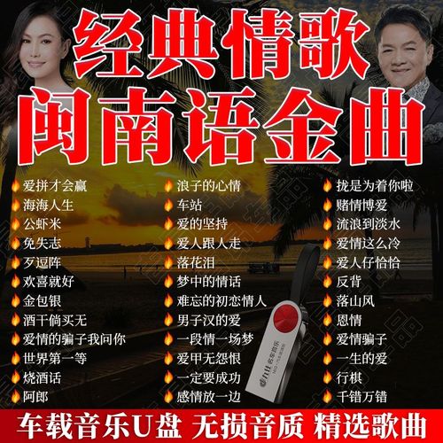 纽曼(newsmy)闽南语歌曲汽车载u盘无损高音质经典台语老情歌车用usb