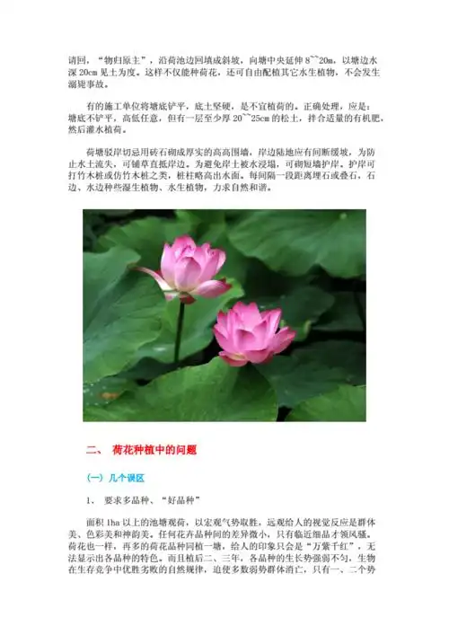荷花种植专业技术解答.doc