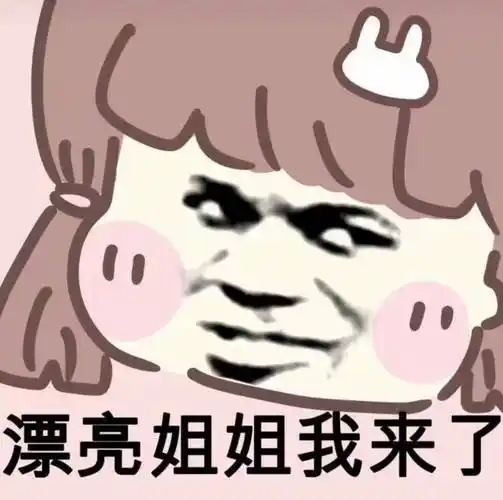 漂亮姐姐我来了-表情包大全-斗图表情