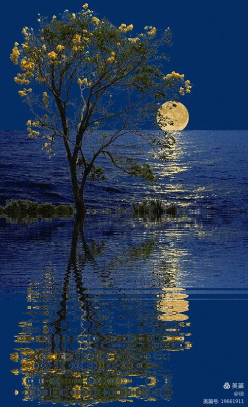 水柱很壮观 湖光掠影,波光粼粼,衶奇的大自然,耀眼又美丽.