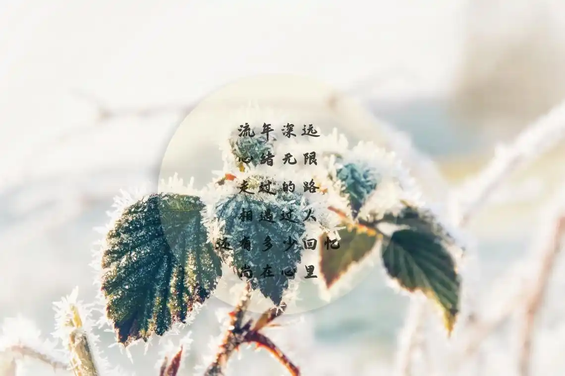 生活感悟心情文字图片