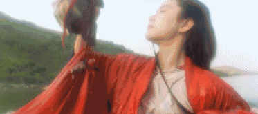 373_165gif 动态图 动图