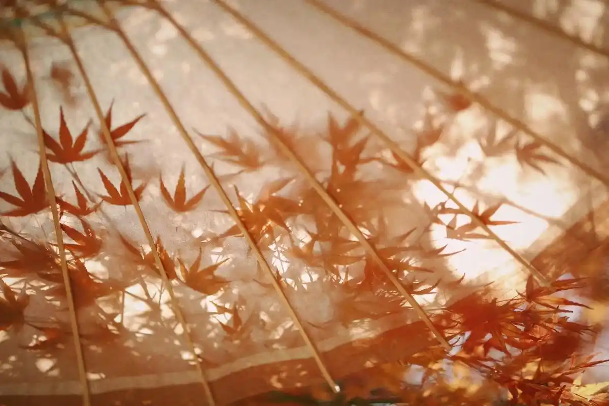 红枫整好时.分享两张周末拍的屏保#红枫 #手机屏保 #摄影 - 抖音