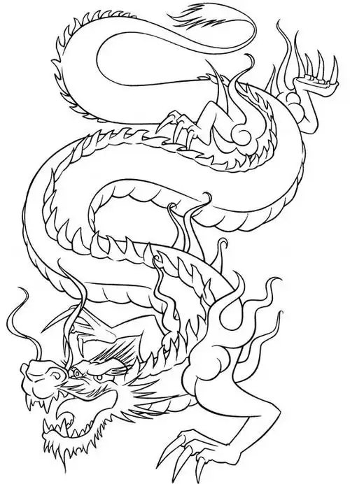 高清龙纹手绘线稿资料,拿去画