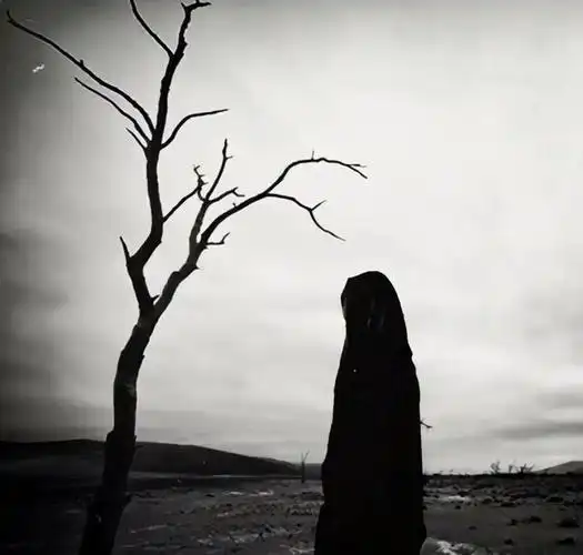 伤心到绝望的句子英文彻底绝望伤心的句子