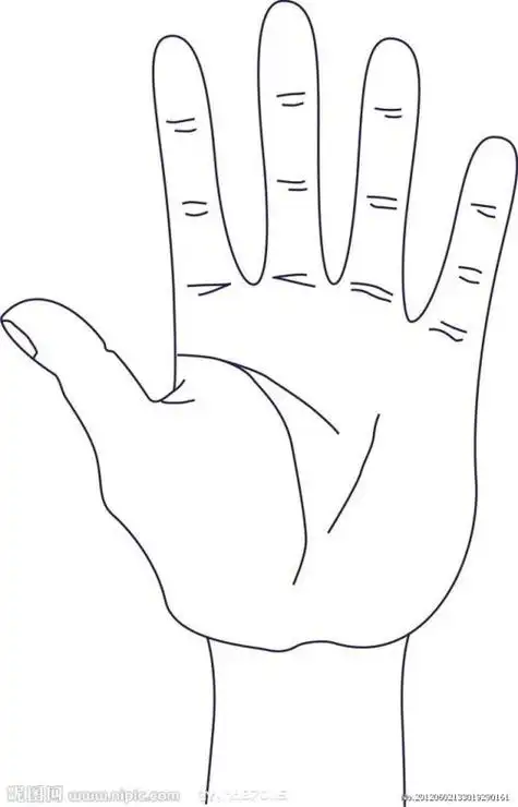 手掌的卡通简笔画