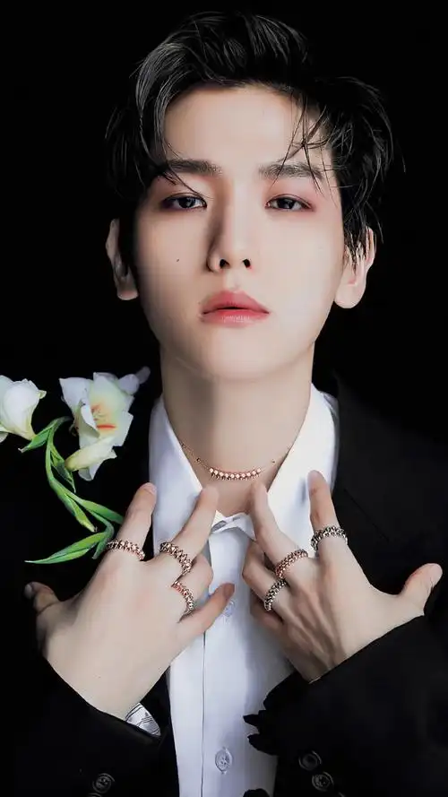 边伯贤高清壁纸无水印分享