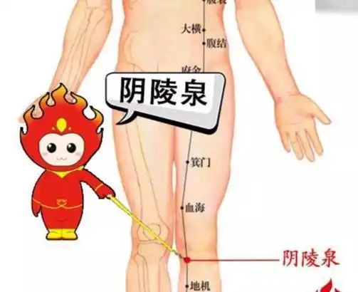 阴陵泉穴是脾经的合穴,艾灸此穴可清利湿热,健脾理气,通经活络,有效