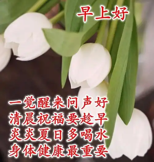 周四早上好祝福语简短 6月炎炎夏季早安动态表情图片免打字