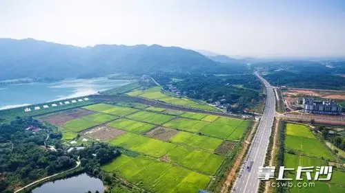 金龙镇燎原水库.湘阴周刊记者 郭雨滴 摄