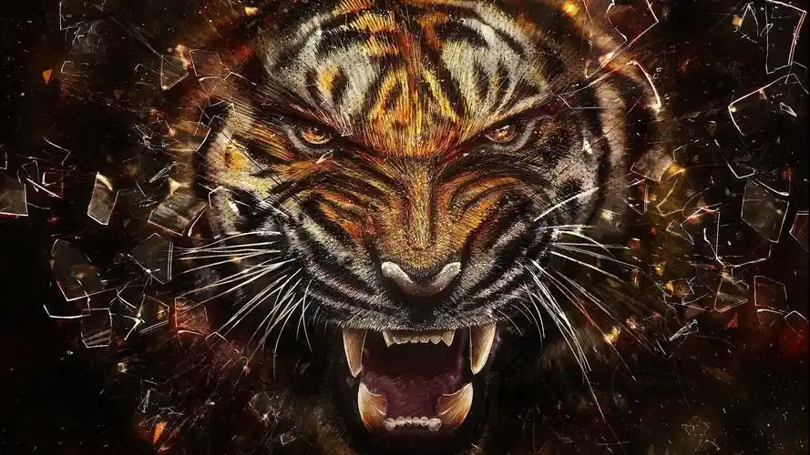 动物世界老虎摄影桌面壁纸下载7