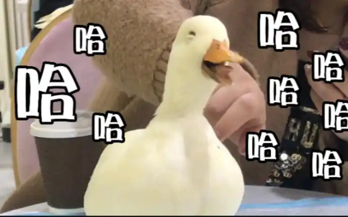 魔性笑声和罗志祥一模一样_哔哩哔哩_bilibili