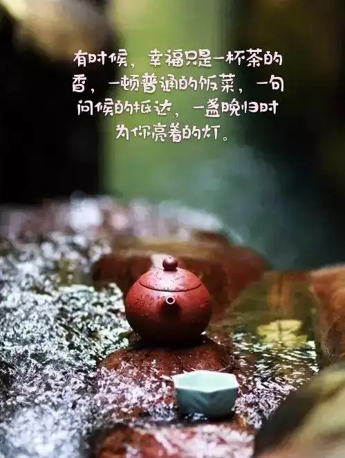 2019年5月至6月,小米《心灵鸡汤》图文汇总.