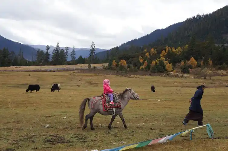 带着六十老妈四岁小女七日西藏游