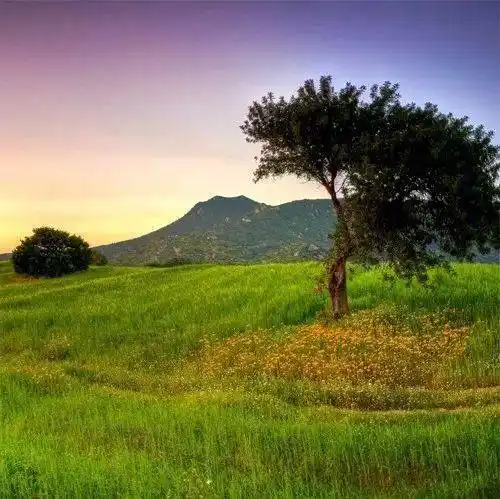 中老年头像大全微信头像男成熟稳重风景图片