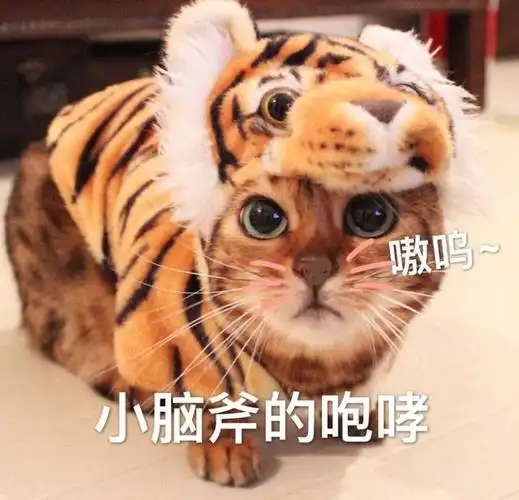 嗷呜小脑斧的咆哮小脑咆哮表情