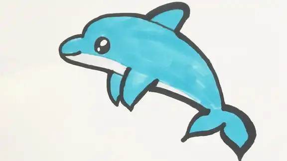 简笔画小洛教你画小海豚零基础也可以画超简单哦