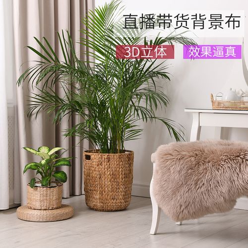 广旋直播带货简约2022新款抖音直播背景布3d立体简约花草背景墙网红