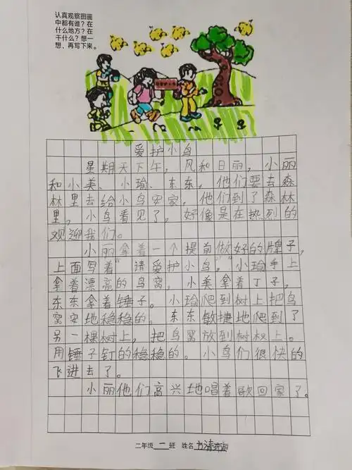二年级一班看图写话集(七)《给小鸟安家》