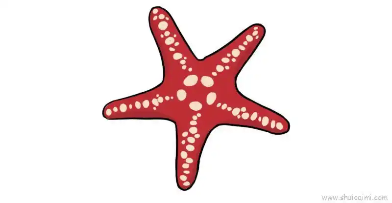 海星儿童画怎么画 海星简笔画简单