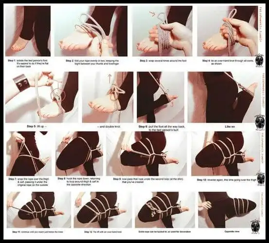 字母圈k9调教的标准动作图解教学,另外谈谈杏奴和女性瘾者-迷路猫