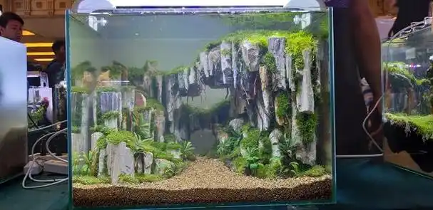 鱼缸造景图片大全,23个草缸作品,都是高手制作,鱼缸造景比赛作品欣赏