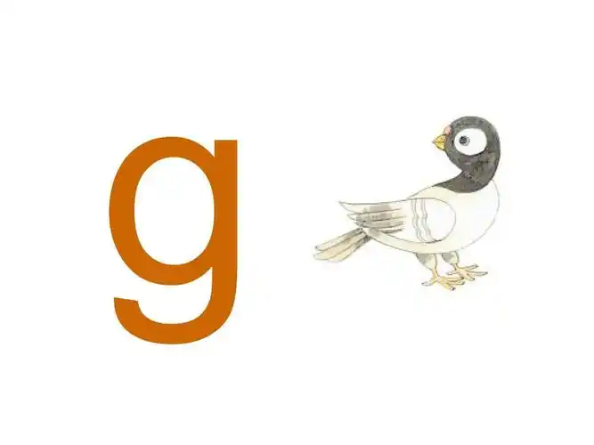 最新苏教版一年级语文上汉语拼音g k h ppt公开课优质教学课件