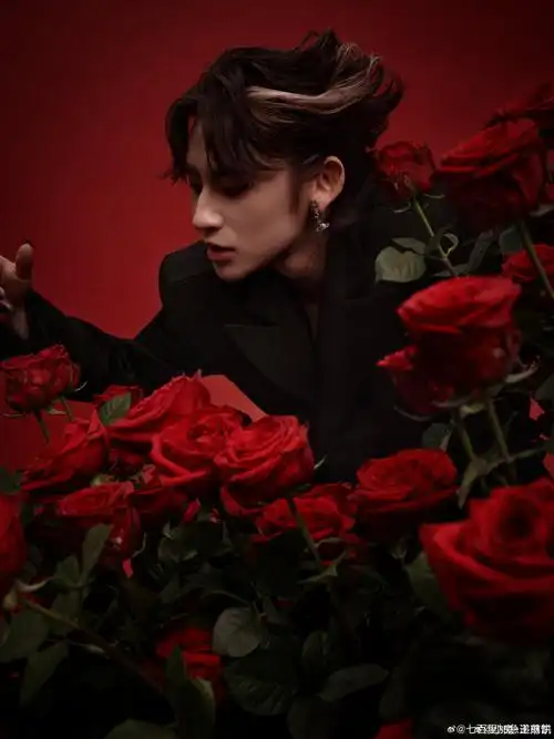 花海里拍照#哇小鬼王琳凯生日的第二套新造型好有创意,精致的猫耳发型