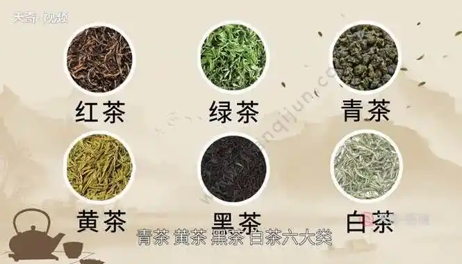 中国六大茶类分别是红茶,绿茶,青茶,黄茶,黑茶,白茶六大类.