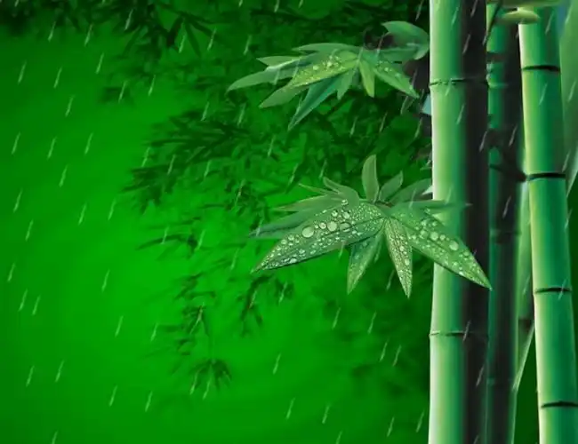 原创诗词《梅兰竹菊》
