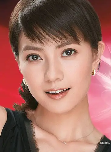 组图高圆圆端庄广告写真