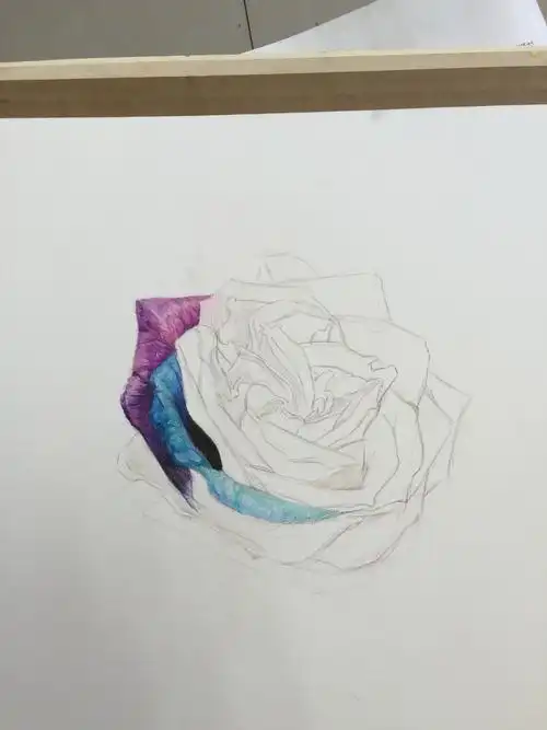 油性彩铅七彩玫瑰