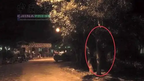 鬼(pocong),有老人带着小孩的pontianak,更恐怖的是有拍到整张烂脸的