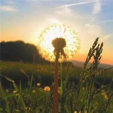 形容春季暖阳普照风景美的头像图片_微信头像图片大全 - 易表情 更多