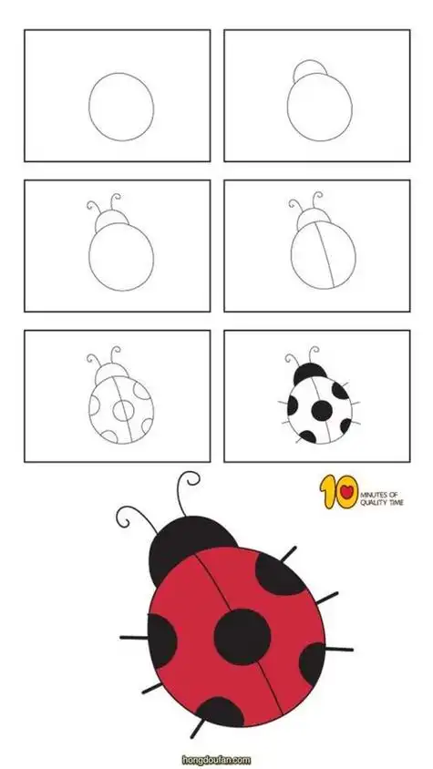 瓢虫图片七星瓢虫的简笔画作品七星七星瓢虫的简笔画步骤七星瓢虫简