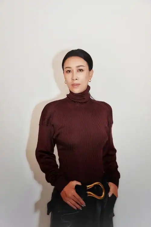 那英简洁质感写真图片