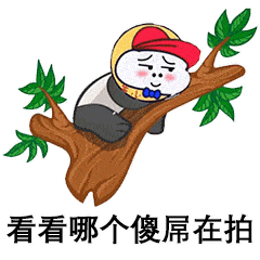 抖音超火的猫咪摇头表情包