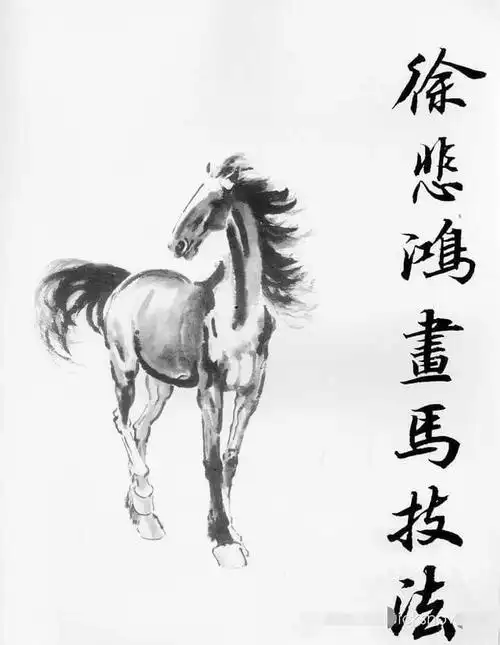 画马基础马的运动规律画马超级教程徐悲鸿画马技法