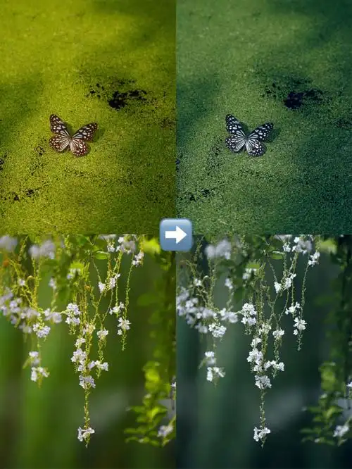 冷清绿色调调色分享