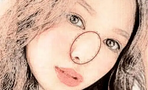 五种旺财的好鼻子,挣钱多家业足,一辈子不发愁!