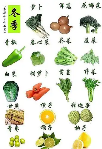 冬季时令蔬菜和水果图片
