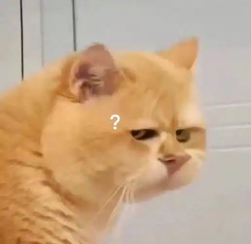 沙雕好玩的表情包:朋友网络吗?