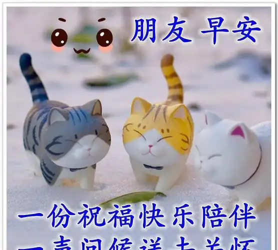 最贴心早安问候图片早安心语祝福问候语