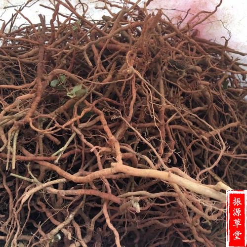 中药材野生老虎虎刺根老鼠绣花针伏牛花根新鲜其他药食同源食品